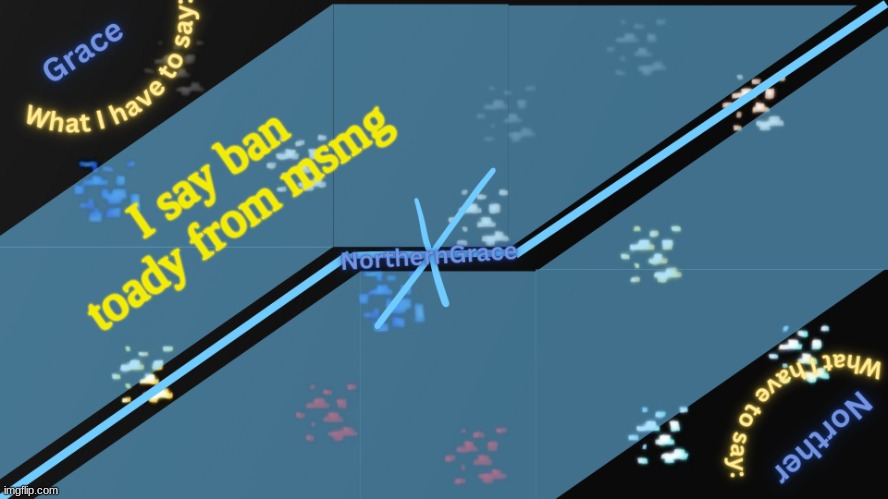 NorthernGrace Temp v2 | I say ban toady from msmg | image tagged in northerngrace temp v2 | made w/ Imgflip meme maker