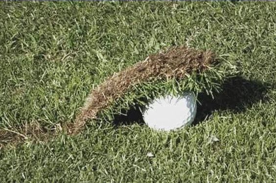 Chrisjoines1 Blank Meme Template