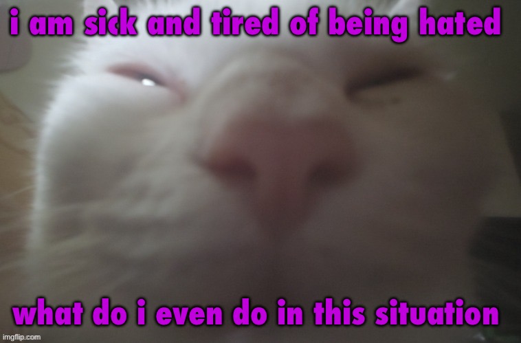whuh??? | i am sick and tired of being hated; what do i even do in this situation | image tagged in whuh | made w/ Imgflip meme maker