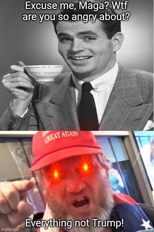 If it ain't Trump? Maga has an issue. | Excuse me, Maga? Wtf are you so angry about? Everything not Trump! | image tagged in trump is perfect in maga world,not a narcissistic cuck,in the real world,maga minds left the building | made w/ Imgflip meme maker
