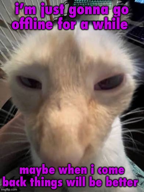 crack | i’m just gonna go offline for a while; maybe when i come back things will be better | image tagged in crack | made w/ Imgflip meme maker