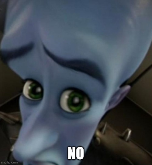 Megamind no bitches | NO | image tagged in megamind no bitches | made w/ Imgflip meme maker