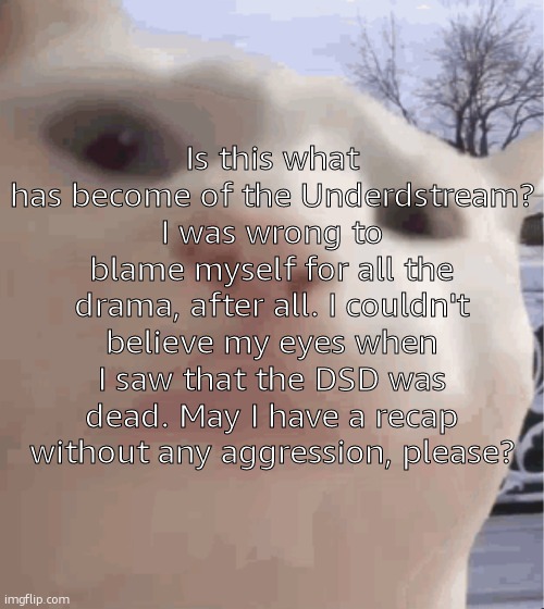 The scent of drama. | Is this what has become of the Underdstream? I was wrong to blame myself for all the drama, after all. I couldn't believe my eyes when I saw that the DSD was dead. May I have a recap without any aggression, please? | image tagged in i showed you my,sans of topic | made w/ Imgflip meme maker