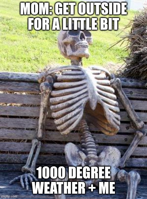 goofy ahh | MOM: GET OUTSIDE FOR A LITTLE BIT; 1000 DEGREE WEATHER + ME | image tagged in memes,waiting skeleton | made w/ Imgflip meme maker