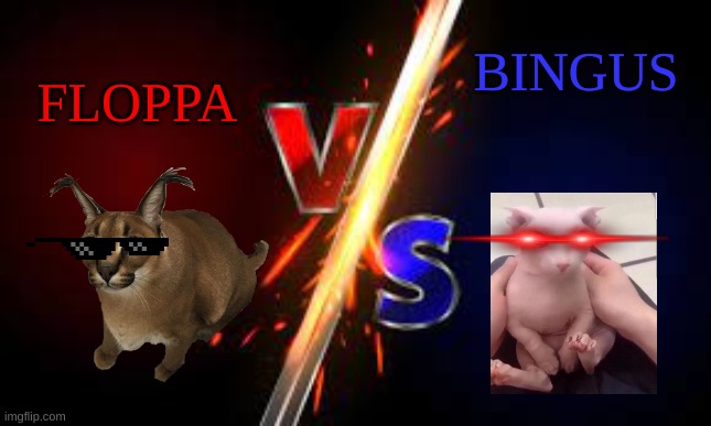 who will win? | FLOPPA; BINGUS | image tagged in vs,floppa,bingus,who will win | made w/ Imgflip meme maker