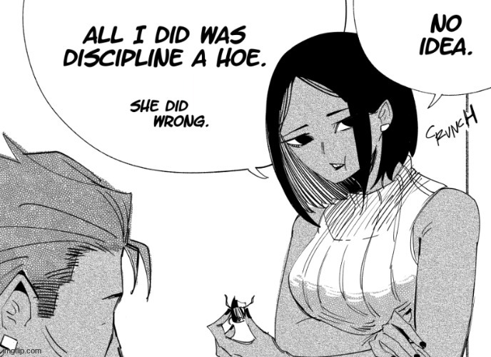 all I did was discipline a hoe. | image tagged in all i did was discipline a hoe | made w/ Imgflip meme maker
