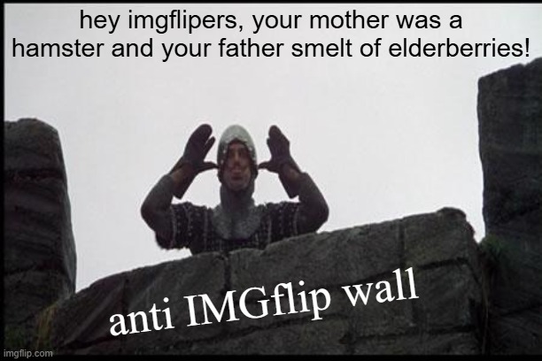 rage-bait | hey imgflipers, your mother was a hamster and your father smelt of elderberries! anti IMGflip wall | image tagged in french taunting in monty python's holy grail | made w/ Imgflip meme maker