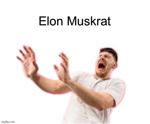 he left all caps on(custom) | Elon Muskrat | image tagged in he left all caps on custom | made w/ Imgflip meme maker