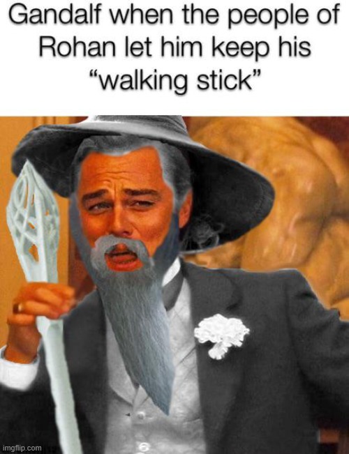Lord of the Rings is floored by the Ding-a-Lings | image tagged in vince vance,funny memes,gandalf,leo dicaprio,walking stick,lord of the rings | made w/ Imgflip meme maker