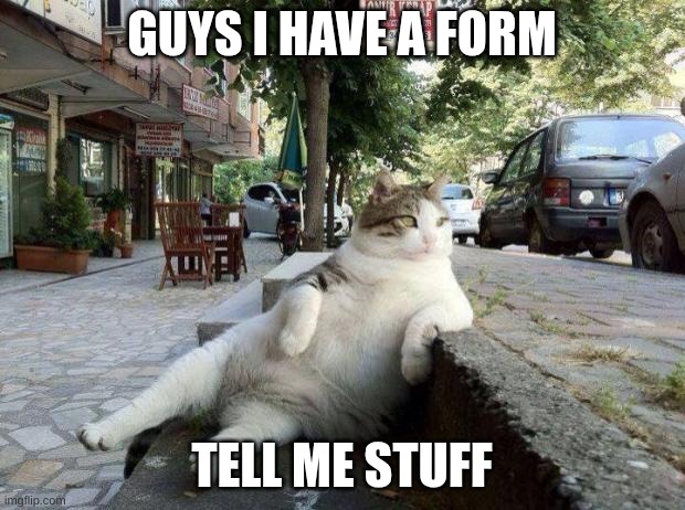 I'm in school, make it approriate | GUYS I HAVE A FORM; TELL ME STUFF | image tagged in cat relax | made w/ Imgflip meme maker