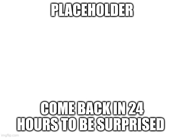 PLACEHOLDER; COME BACK IN 24 HOURS TO BE SURPRISED | made w/ Imgflip meme maker