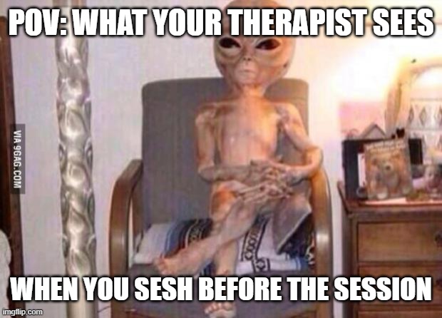 "session" vs session | POV: WHAT YOUR THERAPIST SEES; WHEN YOU SESH BEFORE THE SESSION | image tagged in high alien fma | made w/ Imgflip meme maker