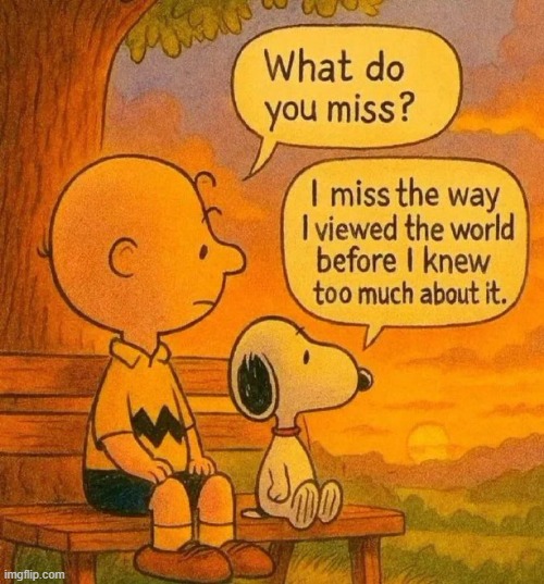 #metoo | image tagged in peanuts,charlie brown,life,life lessons,expectation vs reality,reality | made w/ Imgflip meme maker