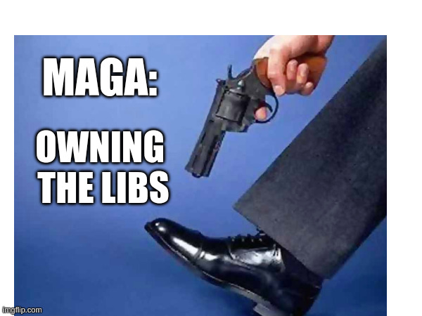 MAGA: Owning the Libs | MAGA:; OWNING 
THE LIBS | made w/ Imgflip meme maker