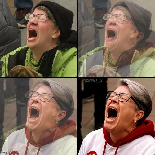 SJW Karen | image tagged in liberal woman,takes a ball from a child,triggered,karen | made w/ Imgflip meme maker