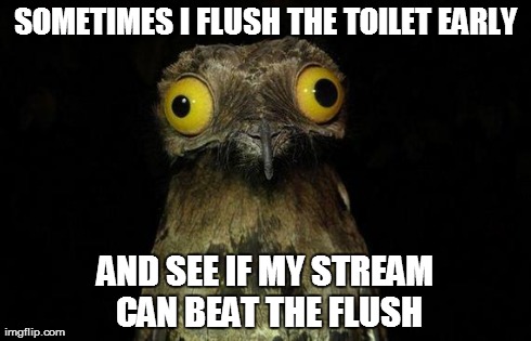 Weird Stuff I Do Potoo | SOMETIMES I FLUSH THE TOILET EARLY AND SEE IF MY STREAM CAN BEAT THE FLUSH | image tagged in memes,weird stuff i do potoo | made w/ Imgflip meme maker