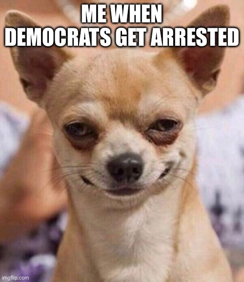 Chihuahua Dog Evil Smile | ME WHEN DEMOCRATS GET ARRESTED | image tagged in chihuahua dog evil smile | made w/ Imgflip meme maker