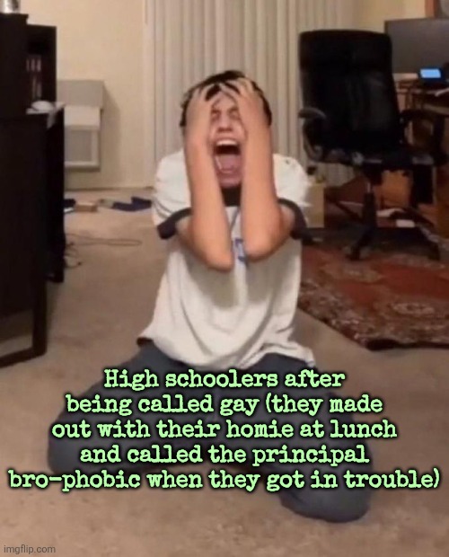 So this happened friday | High schoolers after being called gay (they made out with their homie at lunch and called the principal bro-phobic when they got in trouble) | image tagged in me when meme | made w/ Imgflip meme maker