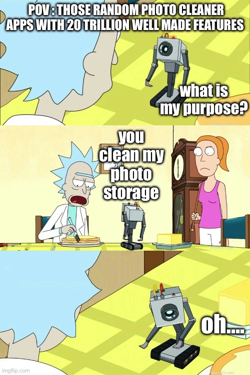 photo cleaner | POV : THOSE RANDOM PHOTO CLEANER APPS WITH 20 TRILLION WELL MADE FEATURES; what is my purpose? you clean my photo storage; oh…. | image tagged in rick morty what is my purpose you pass butter | made w/ Imgflip meme maker