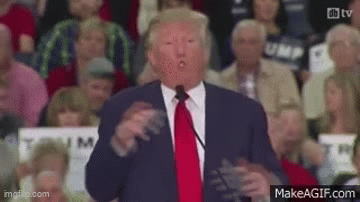 a5he2x.gif