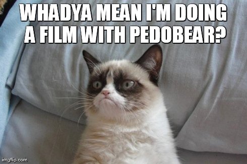 Grumpy Cat Bed | WHADYA MEAN I'M DOING A FILM WITH PEDOBEAR? | image tagged in memes,grumpy cat bed,grumpy cat | made w/ Imgflip meme maker