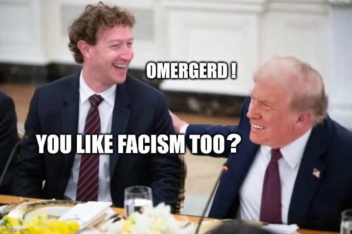 Lizzie and Donnie | OMERGERD ! YOU LIKE FACISM TOO; ? | image tagged in lizzie and donnie,fascism,mark zuckerberg,donald trump,fascists,dont you squidward | made w/ Imgflip meme maker