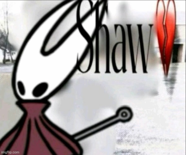 Hornet Shaw | image tagged in hornet shaw | made w/ Imgflip meme maker