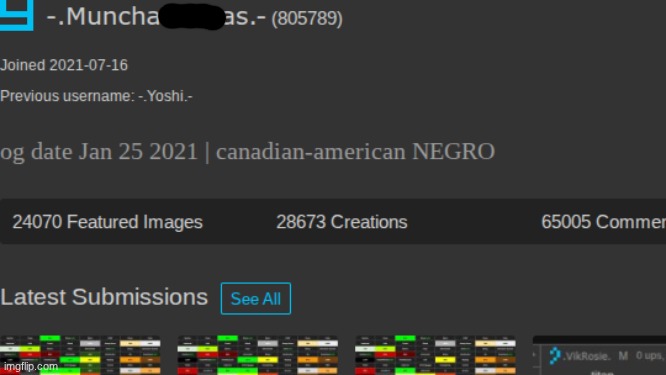 Why did Yoshi make his username this? | Imgflip Bamboozling | made w/ Imgflip meme maker