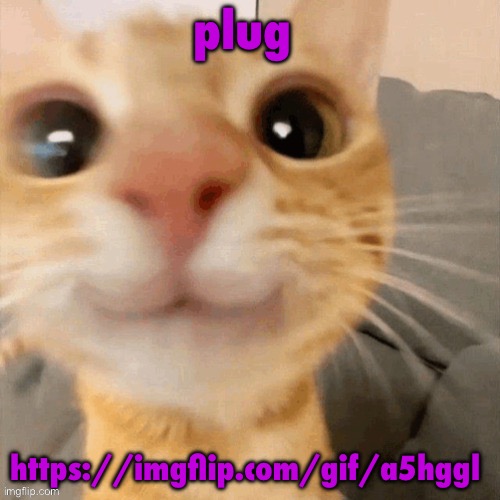kitty | plug; https://imgflip.com/gif/a5hggl | image tagged in him | made w/ Imgflip meme maker