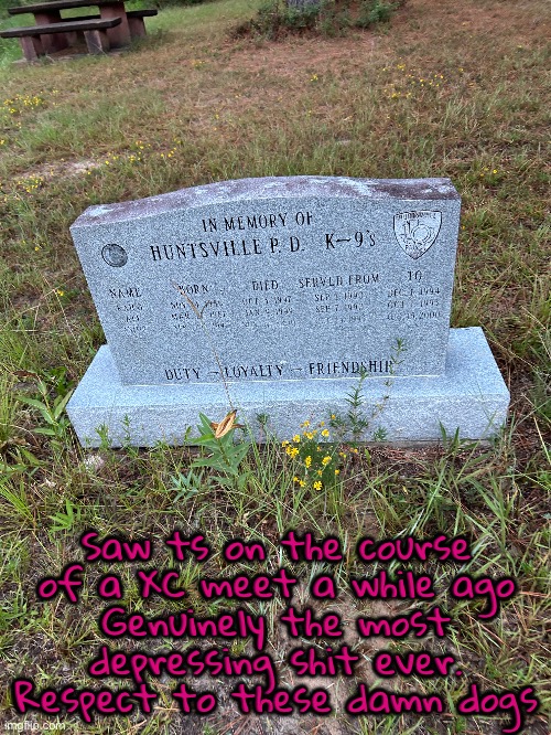 Saw ts on the course of a XC meet a while ago
Genuinely the most depressing shit ever. Respect to these damn dogs | made w/ Imgflip meme maker