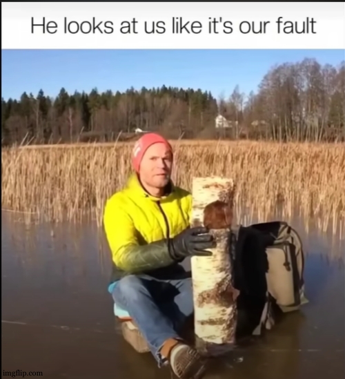 He looks at us like it's our fault | image tagged in he looks at us like it's our fault | made w/ Imgflip meme maker