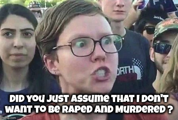 Triggered Liberal | Did you just assume that I don't
want to be Raped and Murdered ? | image tagged in triggered liberal | made w/ Imgflip meme maker