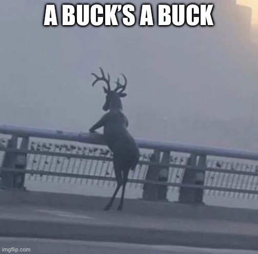 Deer Standing | A BUCK’S A BUCK | image tagged in deer standing | made w/ Imgflip meme maker