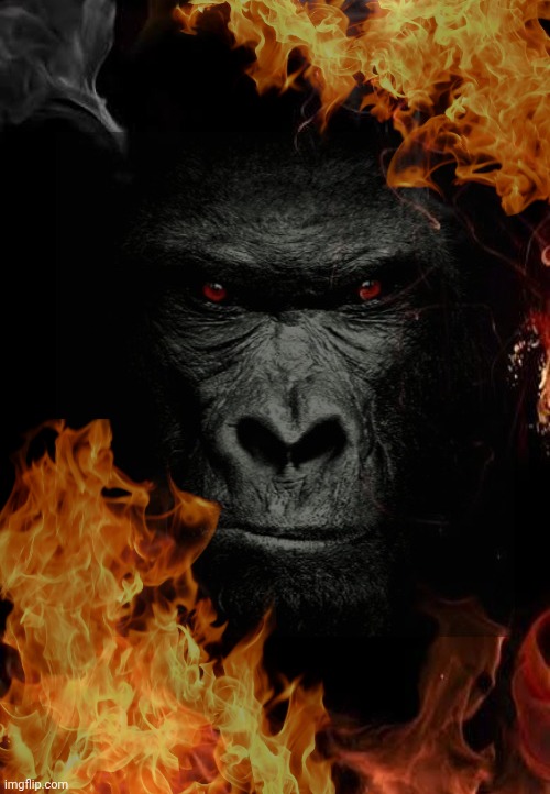 Dark gorilla | image tagged in dark | made w/ Imgflip meme maker