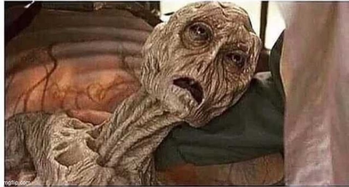 corpse | image tagged in corpse | made w/ Imgflip meme maker