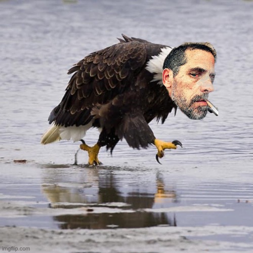 Angry Eagle | image tagged in angry eagle | made w/ Imgflip meme maker