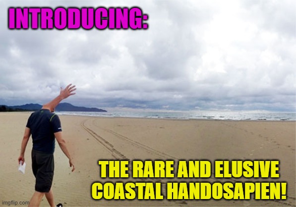 Panorama Fail #1 | INTRODUCING:; THE RARE AND ELUSIVE COASTAL HANDOSAPIEN! | image tagged in panorama,meme,funny,beach,hand,fail | made w/ Imgflip meme maker