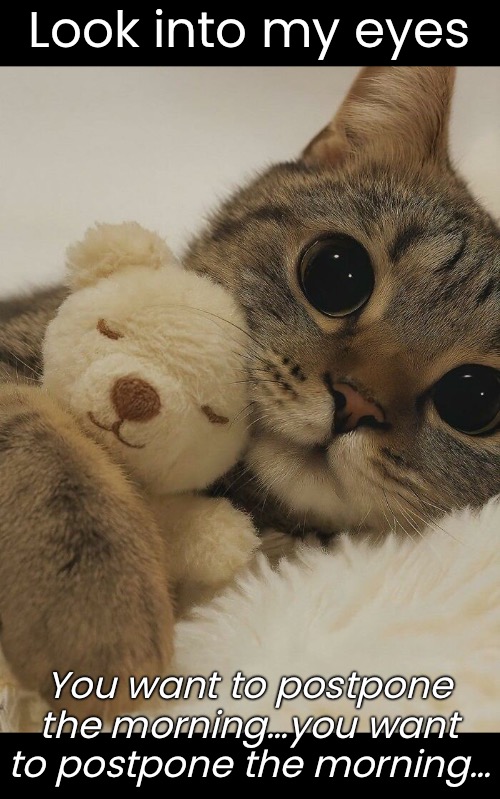 Look into my eyes You want to postpone the morning…you want to postpone the morning… | made w/ Imgflip meme maker