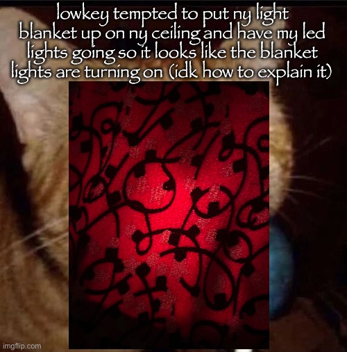 this is the blanket | lowkey tempted to put ny light blanket up on ny ceiling and have my led lights going so it looks like the blanket lights are turning on (idk how to explain it) | image tagged in silly goober 2 | made w/ Imgflip meme maker