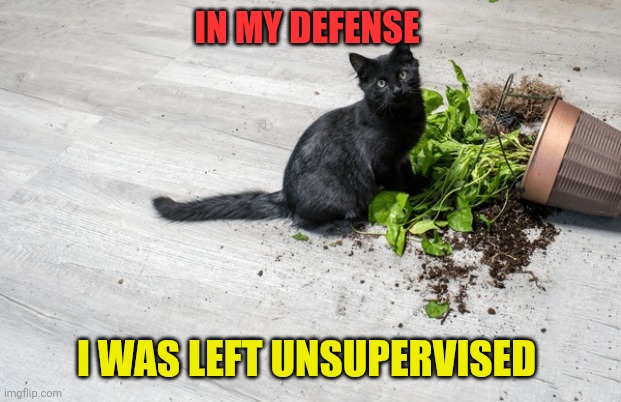 Unsupervised | IN MY DEFENSE; I WAS LEFT UNSUPERVISED | image tagged in cute cat | made w/ Imgflip meme maker