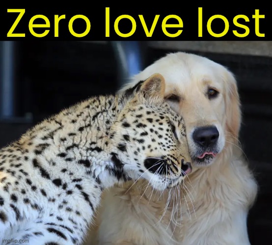 Zero love lost | made w/ Imgflip meme maker