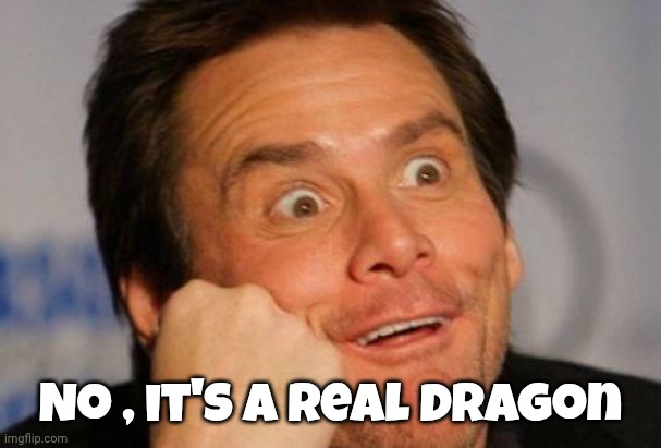 DUH | No , it's a real Dragon | image tagged in duh | made w/ Imgflip meme maker