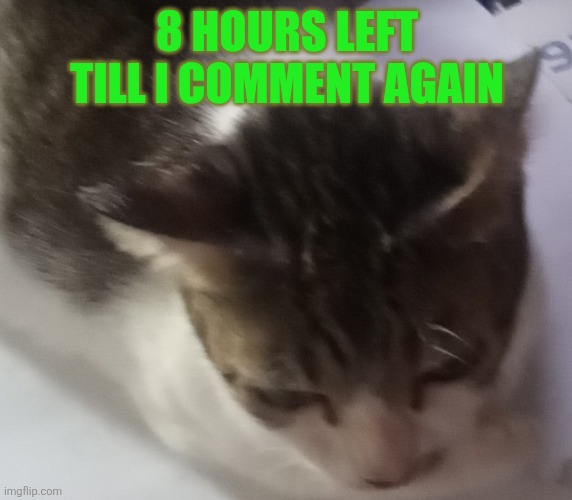 Ming mong | 8 HOURS LEFT TILL I COMMENT AGAIN | image tagged in ming mong | made w/ Imgflip meme maker