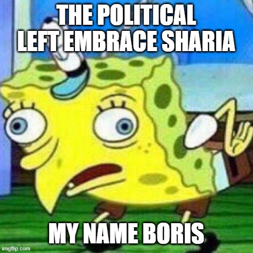 triggerpaul | THE POLITICAL LEFT EMBRACE SHARIA MY NAME BORIS | image tagged in triggerpaul | made w/ Imgflip meme maker