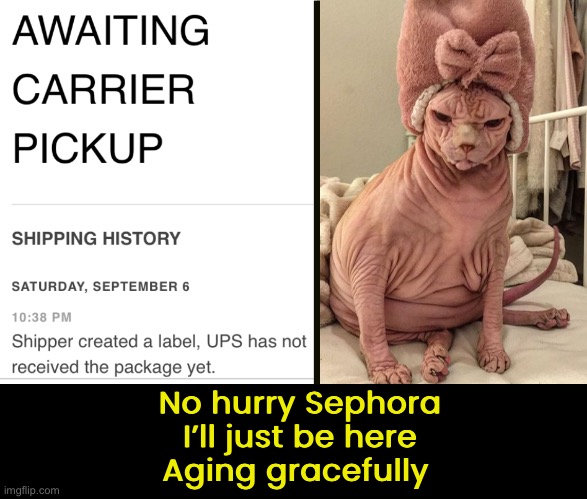 Where is my moisturizer??? | No hurry Sephora
I’ll just be here
Aging gracefully | image tagged in funny memes,aging | made w/ Imgflip meme maker