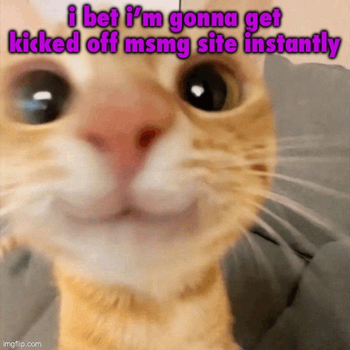 kitty | i bet i’m gonna get kicked off msmg site instantly | image tagged in him | made w/ Imgflip meme maker