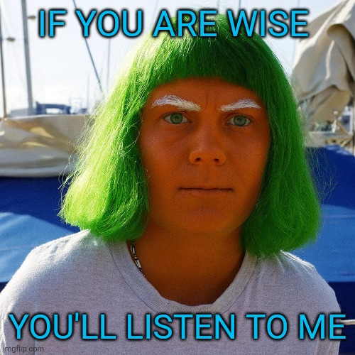I don't like the look of it | IF YOU ARE WISE; YOU'LL LISTEN TO ME | image tagged in greta thunberg,oompa loompa,gaza,palestine | made w/ Imgflip meme maker