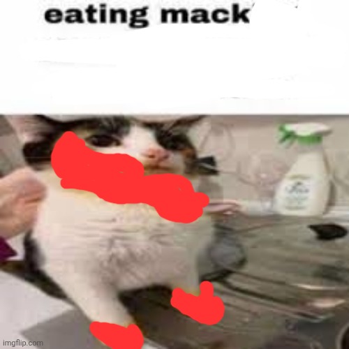 Macking Cheese from the Micheal wave | image tagged in macking cheese from the micheal wave | made w/ Imgflip meme maker