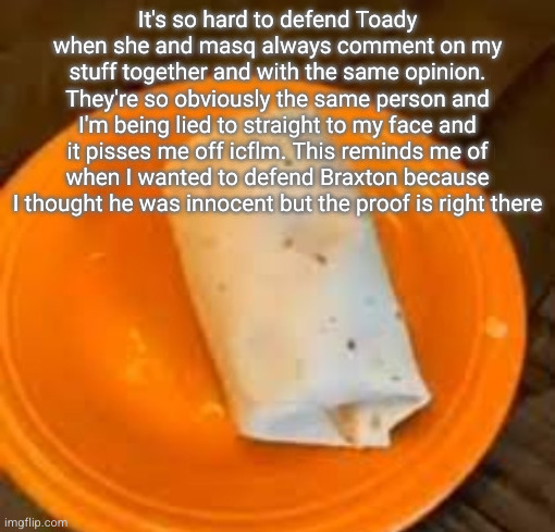 JimmyHere Burrito | It's so hard to defend Toady when she and masq always comment on my stuff together and with the same opinion. They're so obviously the same person and I'm being lied to straight to my face and it pisses me off icflm. This reminds me of when I wanted to defend Braxton because I thought he was innocent but the proof is right there | image tagged in jimmyhere burrito | made w/ Imgflip meme maker