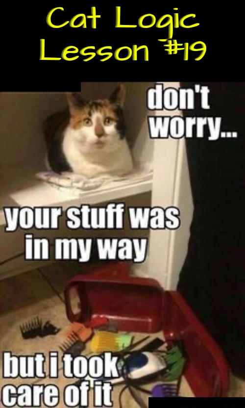 Cat Logic Lesson #19 | Cat Logic Lesson #19 | image tagged in cats,funny cats,life lessons,logic,illogical,selfish | made w/ Imgflip meme maker